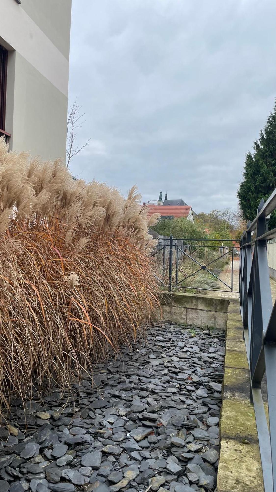 Neu! Oasis - Fewo Am Harz, Hochwertig Kernsaniert, 83 Qm, Eg Nordhausen Extérieur photo