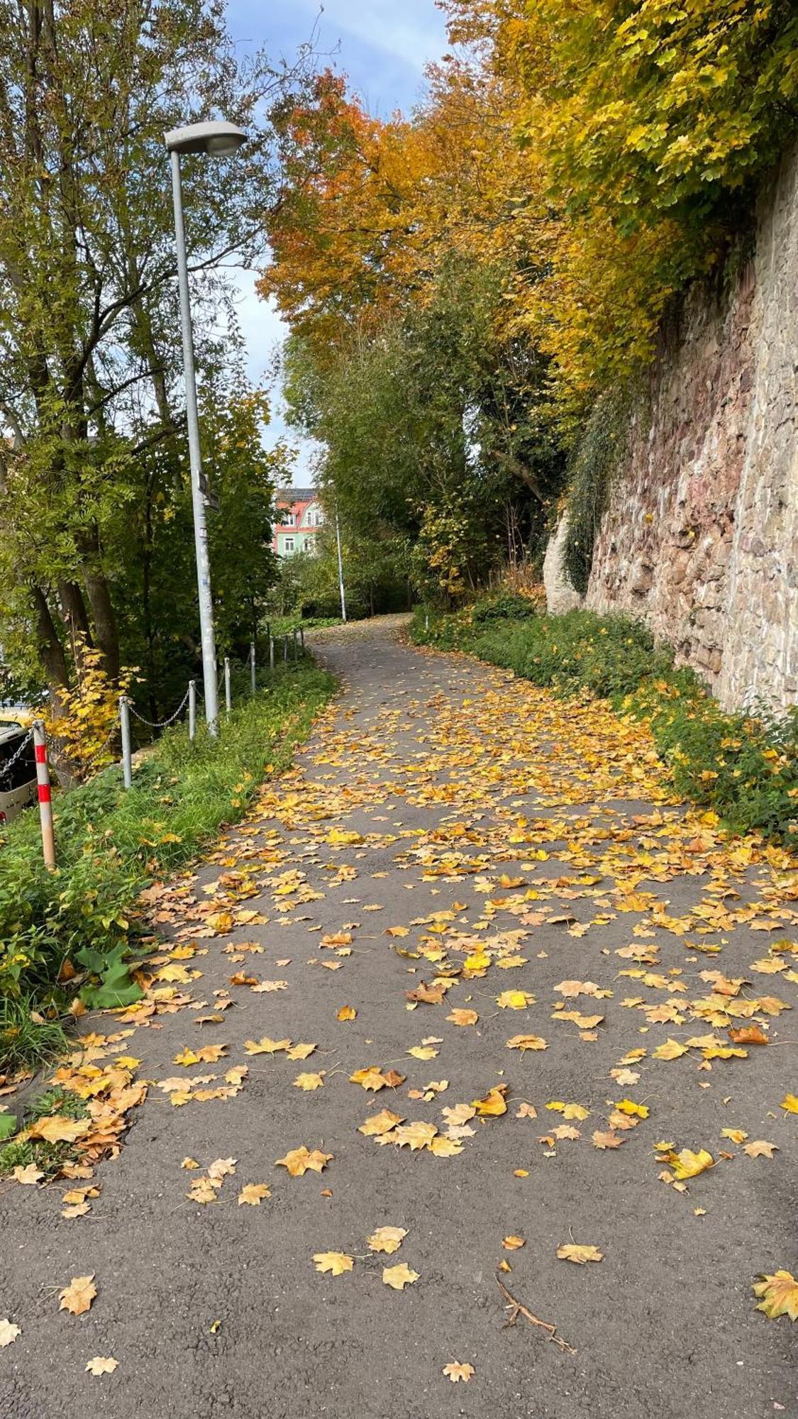 Neu! Oasis - Fewo Am Harz, Hochwertig Kernsaniert, 83 Qm, Eg Nordhausen Extérieur photo